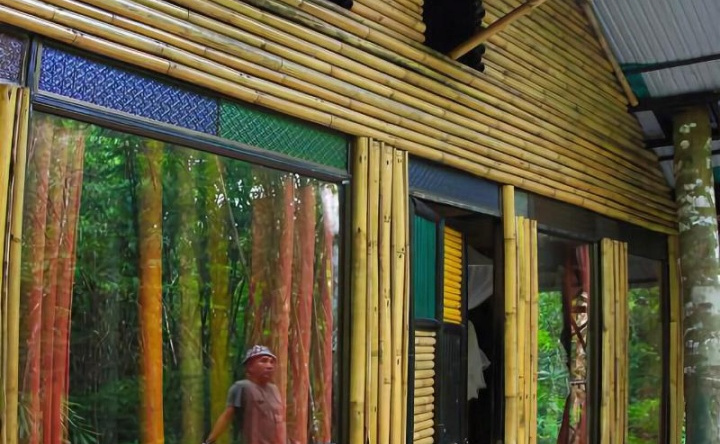 Khao Sok Tree House, Фаном — фото 1