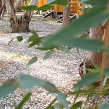 Baza Otdykha Nart Hotel, 肯德格 — 照片 5