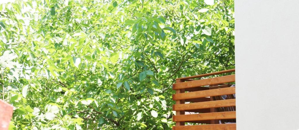 Casa vacanze il Giardino - Appartamento Ciliegio, Aritzo — photo 1
