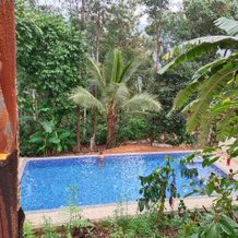 La Flora Jungle Hill Resort - Coorg, 梅凯里 — 照片 5