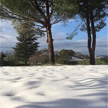 Affittacamere il Castelletto, Calamandrana — photo 2