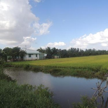 Vila Basi, Cang Long — photo 3