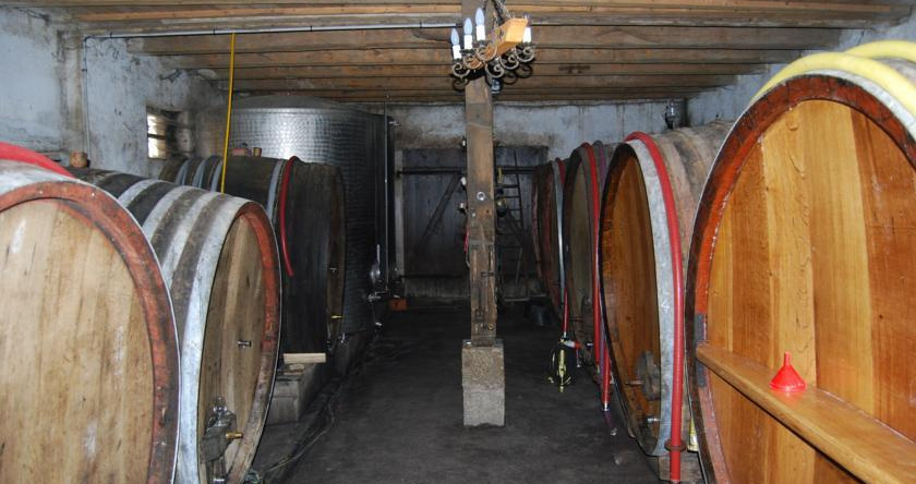 Gîtes Le Tokay et Le Muscat, Gertwiller — photo 1