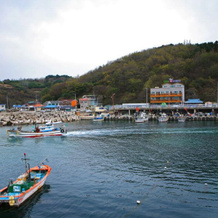 Daegae Pension, Гэмджин-Ри — фото 3
