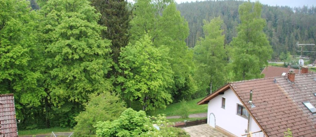 Ferienwohnung Stern, Friedenweiler — photo 1