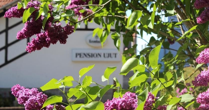 Pension Ujut, Bad Langensalza — photo 1