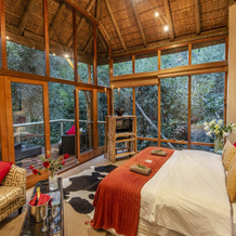 Trogon House and Forest spa, 库尔兰 — 照片 5