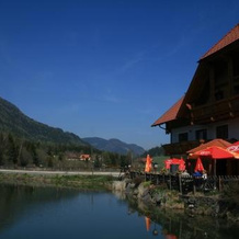 Bio-Bauernhof Apartment Liebchen, 诺伊马克特 — 照片 4