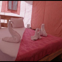 Pangong Heritage Camp, Spangmik — photo 3