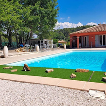 Les Lézards au Soleil, Draguignan — photo 5