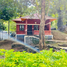 Treetop Resort, Melattoor — photo 3