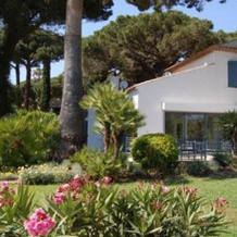 Domaine Du Golfe De St Tropez, Grimaud — photo 3