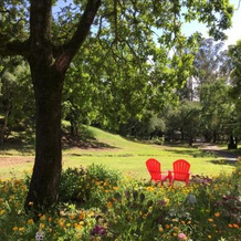Amitabha Wine Country Cottage, 托马尔斯 — 照片 2