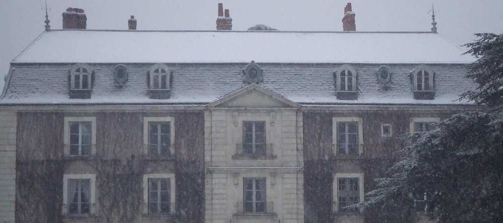 Château du Vau - Maison d'hôtes, 巴朗-米尔 — 照片 1