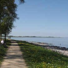 Schlei Idyll, Масхольм — фото 2