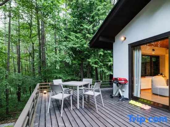 COCO VILLA Yatsugatake — Sauna, BBQ & fireplace, outdoor retreat with forest bathing and patio golf, 北斗 — 照片 1
