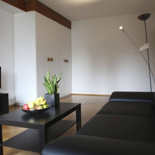 rent-a-home Bristenweg, 巴塞尔 — 照片 5