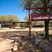 Leopardsong Game Lodge, Каллинан — фото 4