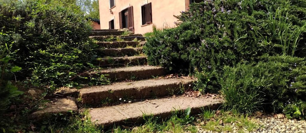 Tenuta Monte la Guardia, 切尔韦泰里 — 照片 1