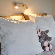 Villa Sofie Bed & Breakfast, 哈斯莱乌 — 照片 3