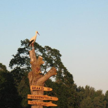 Urakši, Dikli — photo 4