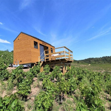 Tiny house au cœur du vignoble beaujolais, 弗勒里 — 照片 3
