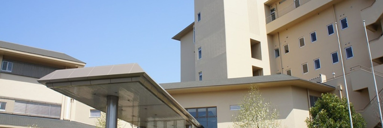 Kamenoi Hotel Hikone, 彦根 — 照片 1