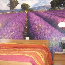 B&B da Guerrino, Puos dApalgo — photo 2
