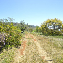 Casa Rural El Jócamo By Isla Bonita, Пунтагорда — фото 4