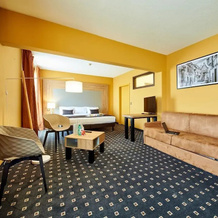 Hôtel HOLIDAY INN STRASBOURG ILLKIRCH, 伊尔基希-格拉芬斯塔登 — 照片 3