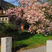 Schwarzwald Neue Linde, 古塔赫 — 照片 4