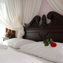 Hotel Risnjak, 代尔尼采 — 照片 4