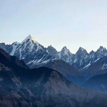 Goroomgo Pandey Lodge Munsiyari, Мунсьяри — фото 5