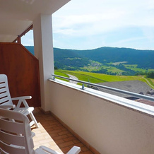 Pension Schlaneiderhof, Мельтина — фото 4