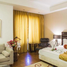 SRS Lakshya Hotel, 巴哈德拉巴德 — 照片 3