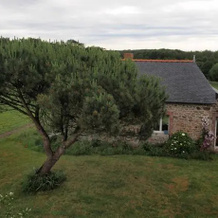 Gite Des Pantières, 米西亚克 — 照片 2
