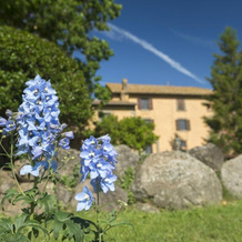 Tenuta di Santa Lucia, Soriano nel Cimino — photo 5