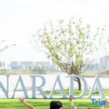 Narada Taizhou Zhejiang, Taizhou — photo 3