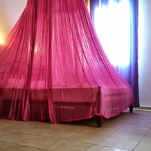 Galini Tropika, 阿吉亚加里尼 — 照片 2