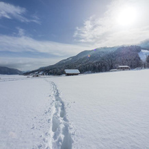 Das Leonhard - Naturparkhotel am Weissensee, 魏森塞 — 照片 5