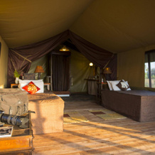 Kilima Camp, 扎-瓦吉耶雷姆-巴塔莱尔 — 照片 5