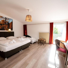 Parkhotel zur Linde, 西兰德罗 — 照片 2