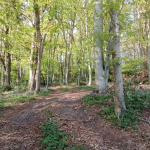 Gites 4,6 personnes Fécamp Etretat, Colleville — photo 2