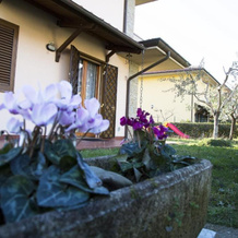 B&B Nuovo Paradiso, Пеша — фото 3
