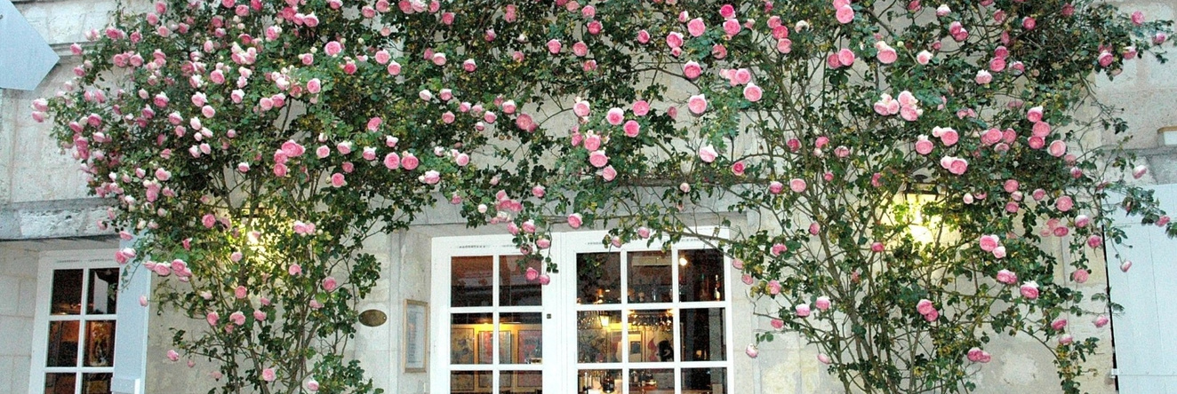 Hôtel De Bastard, 莱克图尔 — 照片 1