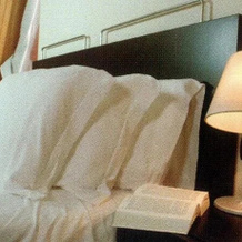 Hotel Saurus, 阿尔塔穆拉 — 照片 3