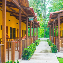Senderos del Mar, Hotel con AC, Piscina, cerca de Tayrona, 布里塔卡 — 照片 4