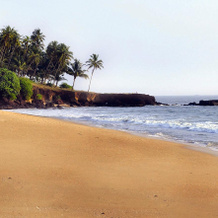 The Malabar Beach Resort, Thalassery — photo 4