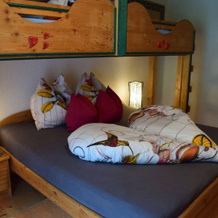 Apartment Fernerkogel, 格里斯因塞尔赖恩 — 照片 2