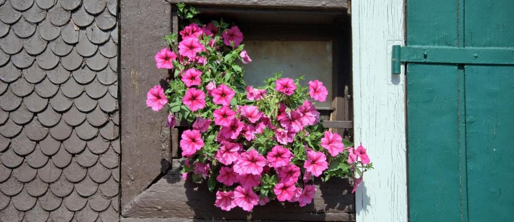 Gasthaus Pension Zum Löwen, 格拉芬豪森 — 照片 1